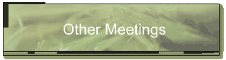 Other Meetings