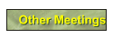 Other Meetings